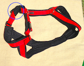 Harness red