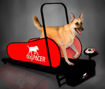 dogpacer treadmill for dogs