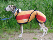 lambourn Whippet Mantel