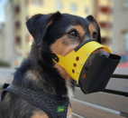 Maulkorb Terriermix